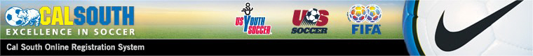 2013 Bassett Youth Soccer - Summer League banner